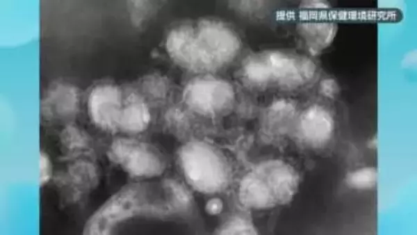 今年のインフル流行ピーク…例年より早く１２月中旬ごろか