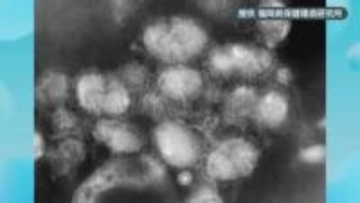 今年のインフル流行ピーク…例年より早く１２月中旬ごろか