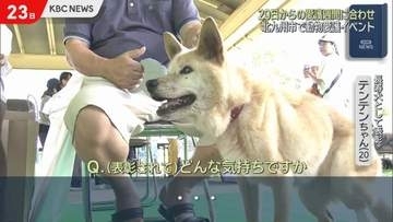 20日からの動物愛護週間に合わせ　北九州市で動物愛護イベント