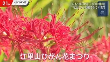 「日本の棚田百選」佐賀・小城市の江里山でヒガンバナが見頃を迎える