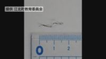 佐賀・江北町でまた学校給食に異物混入