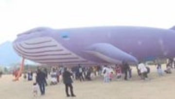 久留米市でたこあげ大会「正月気分を味わって！」