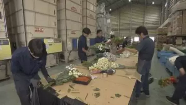 JA福岡市「花の里宅配便」　出荷が最盛期