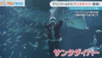 １２月始まる　マリンワールドもクリスマス仕様に