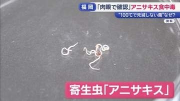 相次ぐ食中毒 適切な予防法は　カンピロバクター、アニサキス、「100℃で死なない菌」も