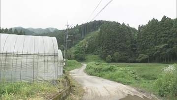 【速報】筑紫野で徘徊していた馬　飼い主が捕獲