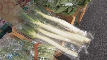７月の野菜の入荷量と卸売価格は平年並みの見通し　九州農政局