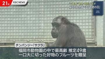 福岡市動物園で高齢動物に敬老の日のお祝いを