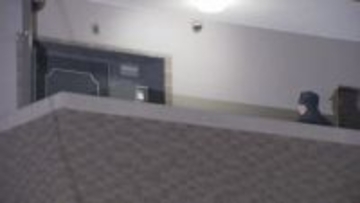 マンション一室で子ども２人と女性１人の遺体を発見…無理心中か