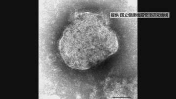福岡県内で　20代の男性2人がはしかに感染