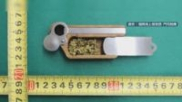 大型クルーズ船で大麻所持　乗客のフィリピン国籍の男を逮捕