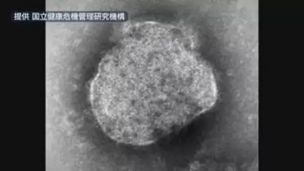 「はしか感染　県内で今年２人目」の画像