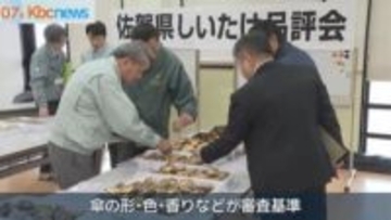 傘の形や香りなど競う「佐賀県しいたけ品評会」佐賀・唐津市