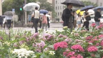 佐賀・福岡　２４日朝から大雨に警戒