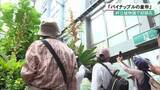 「「パイナップルの皇帝」  京都府立植物園で初開花」の画像1