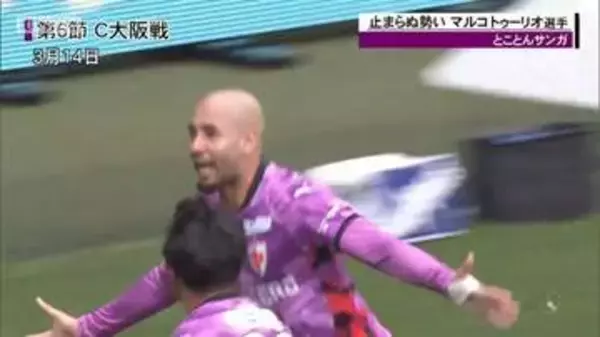 「京都サンガ　今季４得点の活躍のマルコ・トゥーリオ選手に注目！」の画像