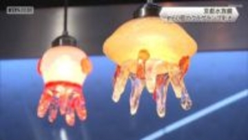 京都水族館　約60個のクラゲランプ彩る「くらげのあかりたち」展