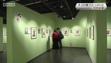 ネコの魅力たっぷりと　京都市内で浮世絵展