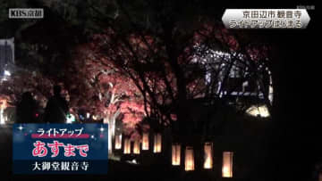 京田辺市・大御堂観音寺　ライトアップ始まる　国宝の特別拝観も