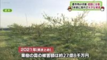 凍霜害に注意（福島）