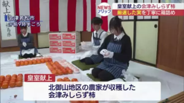 皇室に献上「みしらず柿」の箱詰め作業（福島）