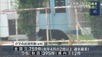 クマ被害　全国最多の県内　4人負傷—2026年4・5月の人的被害状況