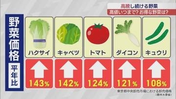 猛暑で野菜高騰…キュウリは高値続く一方、お買い得な野菜も