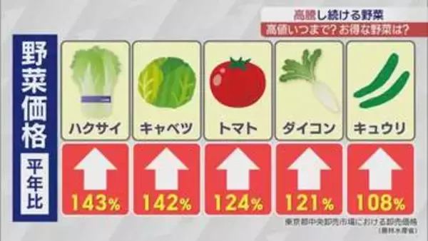 猛暑で野菜高騰…キュウリは高値続く一方、お買い得な野菜も