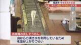 「猛暑日に人気の避暑地　山の湧き水を使った流しそうめんで涼を満喫」の画像1