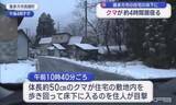 「大みそかにもクマが…喜多方市の住宅の床下に４時間にわたって居座る　警察などが注意を呼び掛け（福島）」の画像1