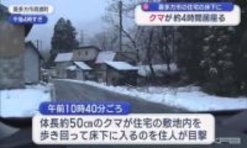 大みそかにもクマが…喜多方市の住宅の床下に４時間にわたって居座る　警察などが注意を呼び掛け（福島）