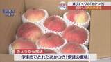「ふるさと小包　県産モモの第一便が出発」の画像1