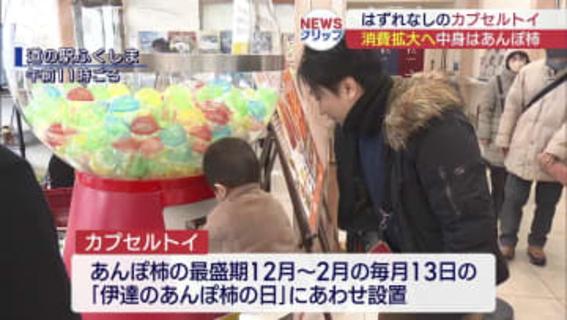 道の駅にあんぽ柿の巨大カプセルトイ（福島）