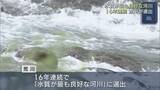 「荒川が16年連続で「水質が最も良好な河川」に」の画像1