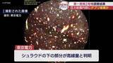 「2号機圧力容器内部に燃料デブリの堆積可能性(福島)」の画像1