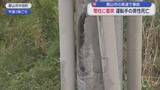 「郡山市の県道で車が電柱に衝突　運転手の男性（73）が死亡」の画像1