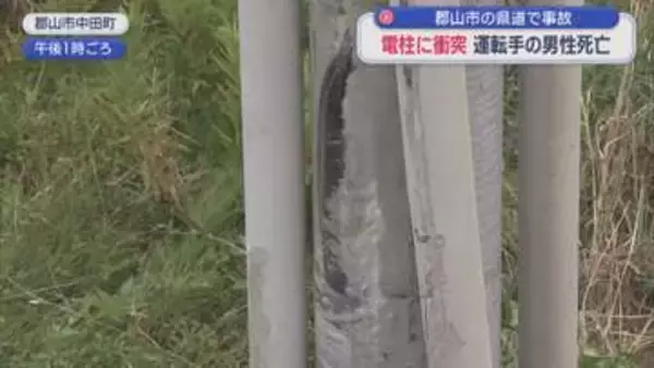郡山市の県道で車が電柱に衝突　運転手の男性（73）が死亡