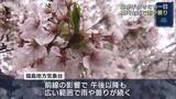 「低気圧の影響で県内は雨　サクラが見頃の開成山公園は閑散(福島)」の画像1