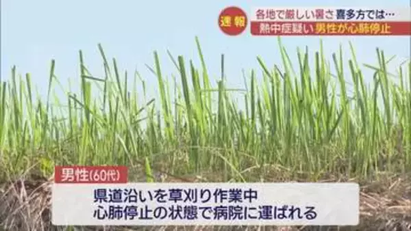 喜多方市で草刈り中の男性が熱中症の疑いで心肺停止