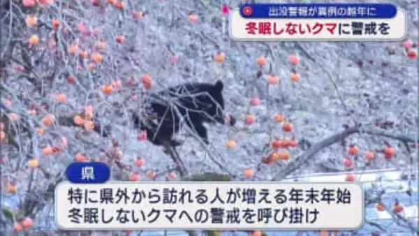 年末年始の帰省や旅行中も「冬眠しないクマ」に警戒を（福島）