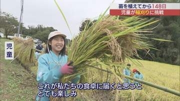 郡山市の小学校で児童が稲刈りに挑戦