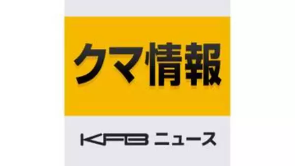 【熊出没】二本松市の市道で道路を横断する熊が目撃される