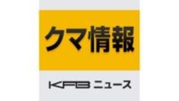 【熊出没】二本松市の市道で道路を横断する熊が目撃される