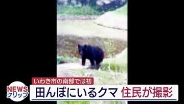 いわき市南部では初めてクマの姿を確認　現地調査では足跡も…（福島）