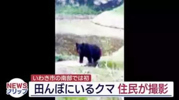 いわき市南部では初めてクマの姿を確認　現地調査では足跡も…（福島）