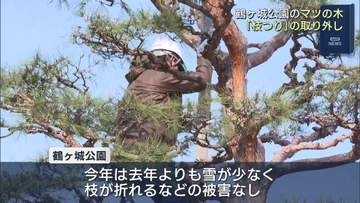 鶴ヶ城も春の装いに…公園内の「枝つり」取り外し進む（福島）