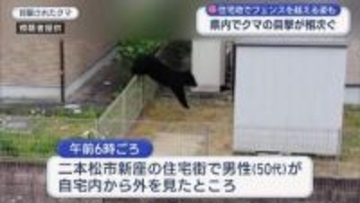 フェンスを乗り越える姿…クマの目撃相次ぐ　二本松市では住宅街に（福島）