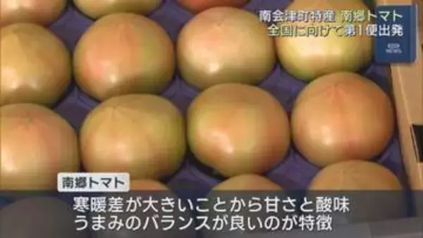 南会津町のブランド「南郷トマト」出発式　全国への配送スタート