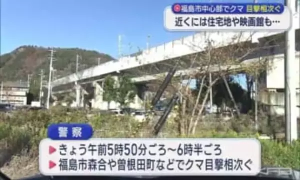 福島市の中心部でクマの目撃相次ぐ(福島)