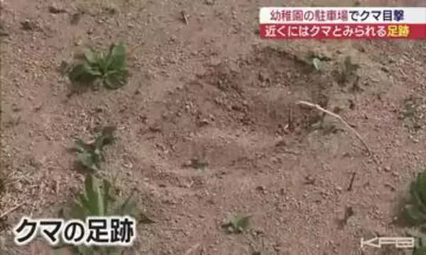学校や幼稚園の近くに…　須賀川市と鏡石町でクマの目撃相次ぐ（福島）